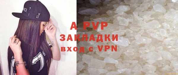 крисы Алзамай
