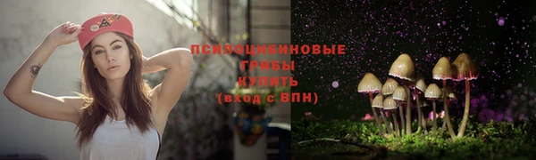 a pvp Алексин