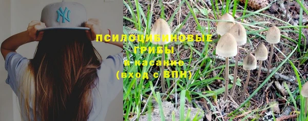 крисы Алзамай