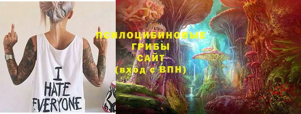 прущий лед Алексеевка