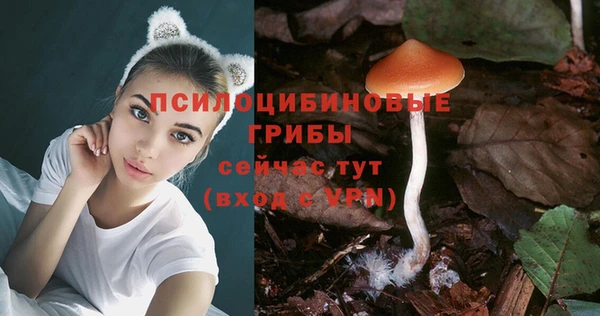 прущий лед Алексеевка