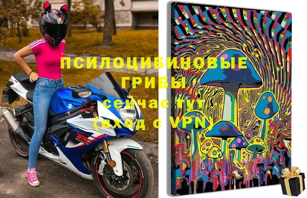 крисы Алзамай